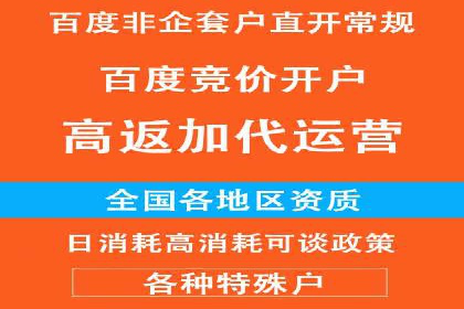 短视频信息流广告投放策略与案例分析